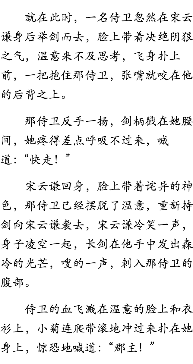 洛衣宋云谦最新章节，命运与情感的交织碰撞